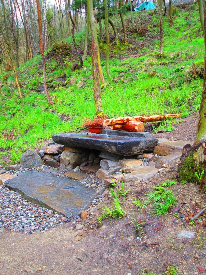 Chalet Cuore Selvatico Monno Luaran gambar